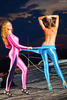 Graceful Sunset : continued by platen