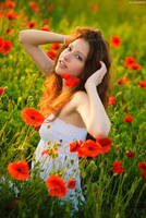 Poppy Effect 2 by platen