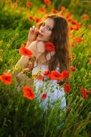 Poppy Effect 3 by platen