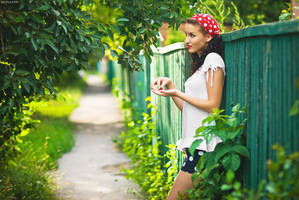 Summer in Countryside by platen