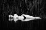Dark waters by Filip-Ok