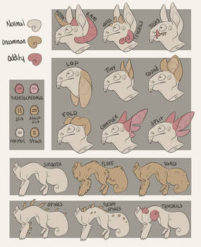 Cache Dragon Trait Guide by Salisburies