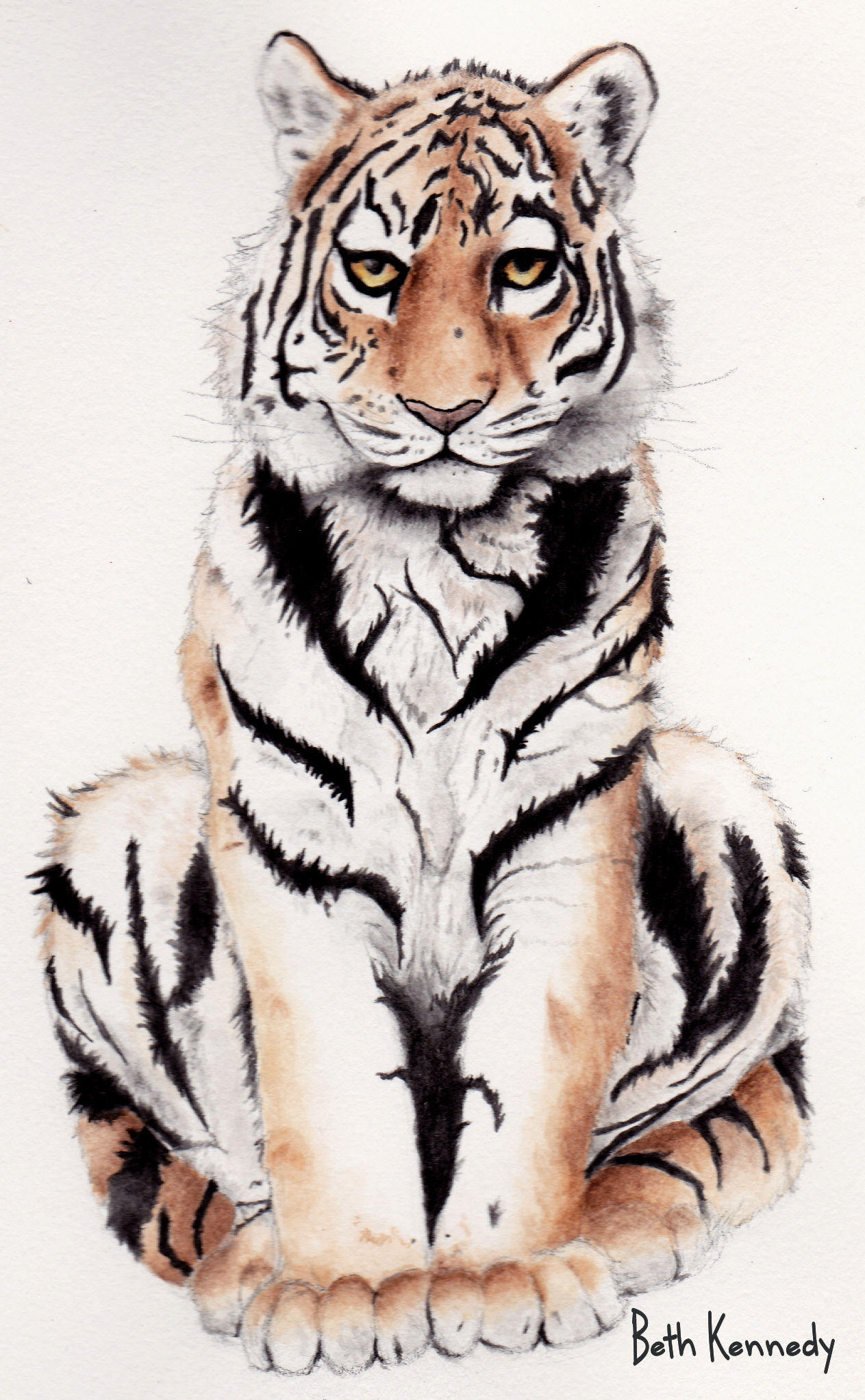 Tiger by CaptainBeth