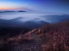 Sokolica by myusernameistaken2