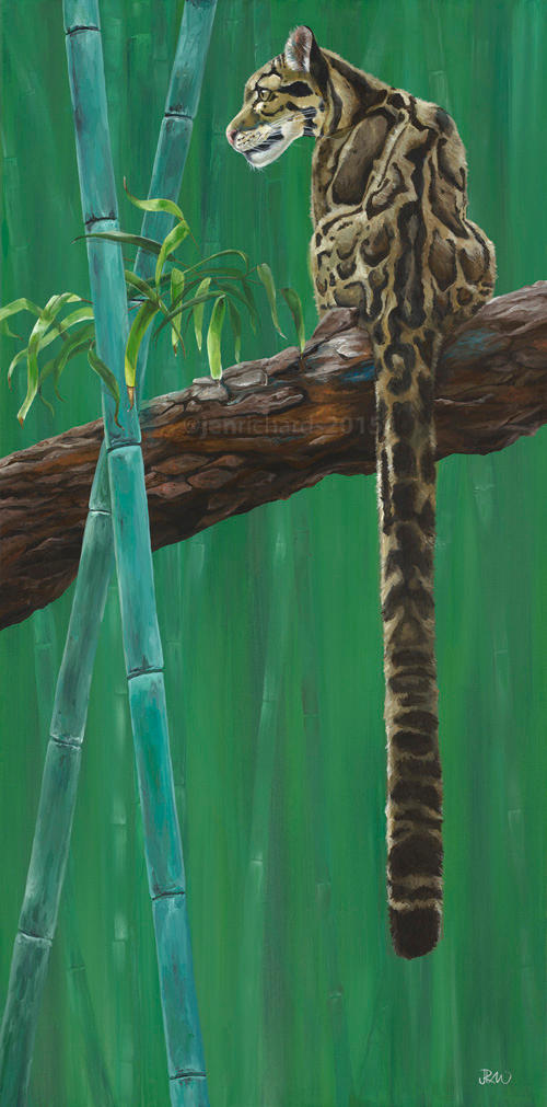 Suhana - Clouded leopard by odontocete