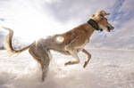 Just Snow... by Alyat