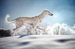 white... by Alyat