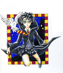Harriet Potter by dances-with-hipsters