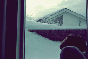 Common people by Valmuer