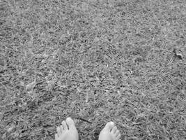 missing something by ronixkush134