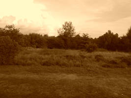 open field 4 by ronixkush134