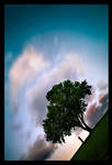 In A Tilted World by gilad