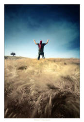 Witness by gilad