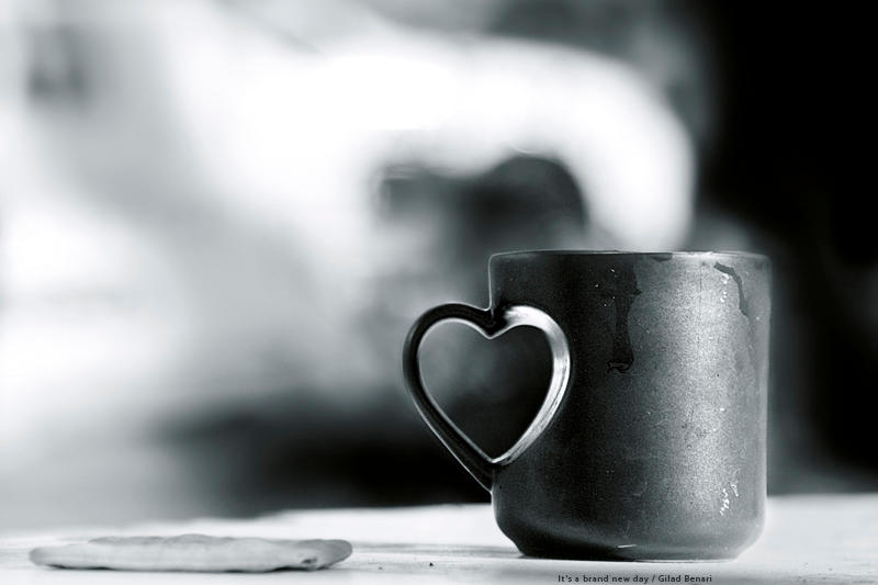 It's a brand new day by gilad