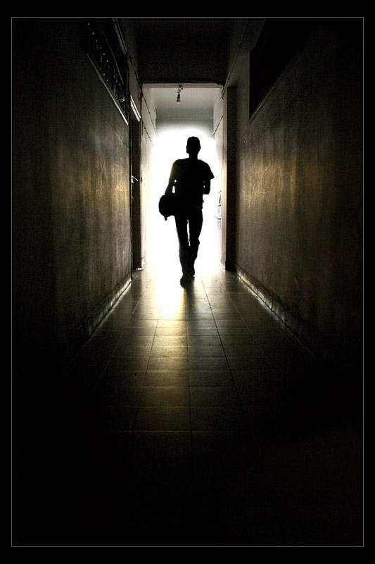 The Journey by gilad