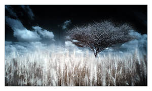 Standing Still 1 by gilad