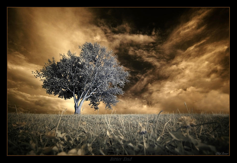 Bitter End by gilad