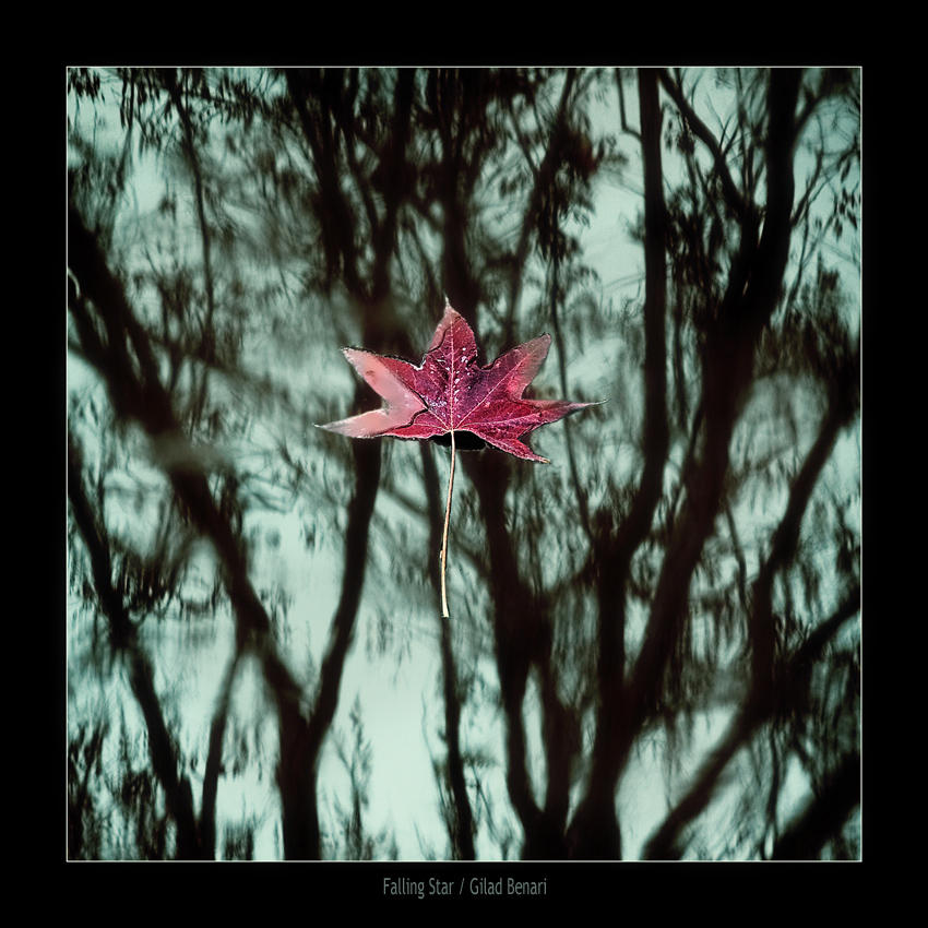 Falling Star by gilad