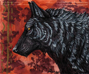 - The Wolf - by soulspoison