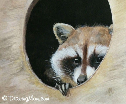 Raccoon by DrawingMom