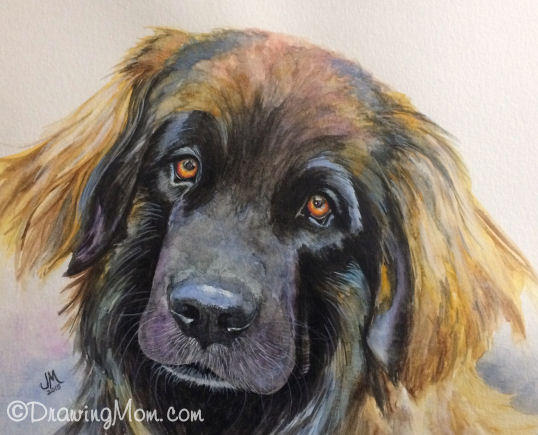Jagger by DrawingMom