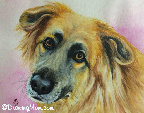 Bailey by DrawingMom