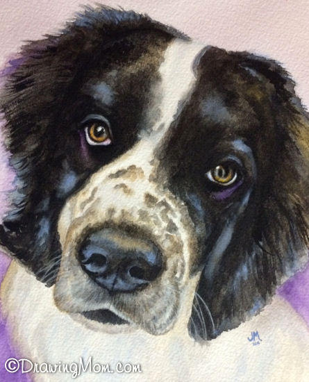 Buster by DrawingMom