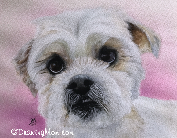 Shih Tzu by DrawingMom