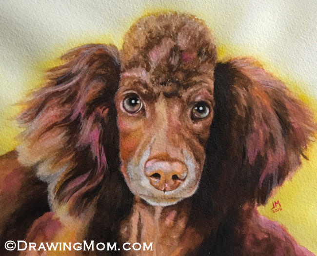 Cali by DrawingMom
