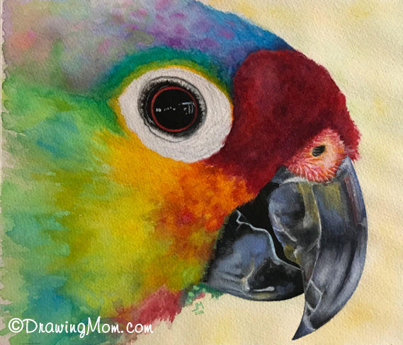 Parrot by DrawingMom