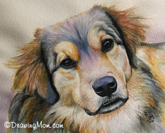 Hank by DrawingMom
