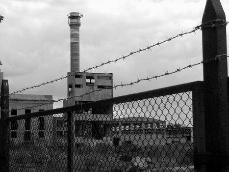 Behind the Fence by ElegantAndrogyne