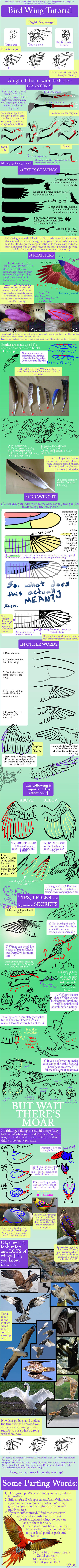 Bird Wing Tutorial by TheAntimonyElement
