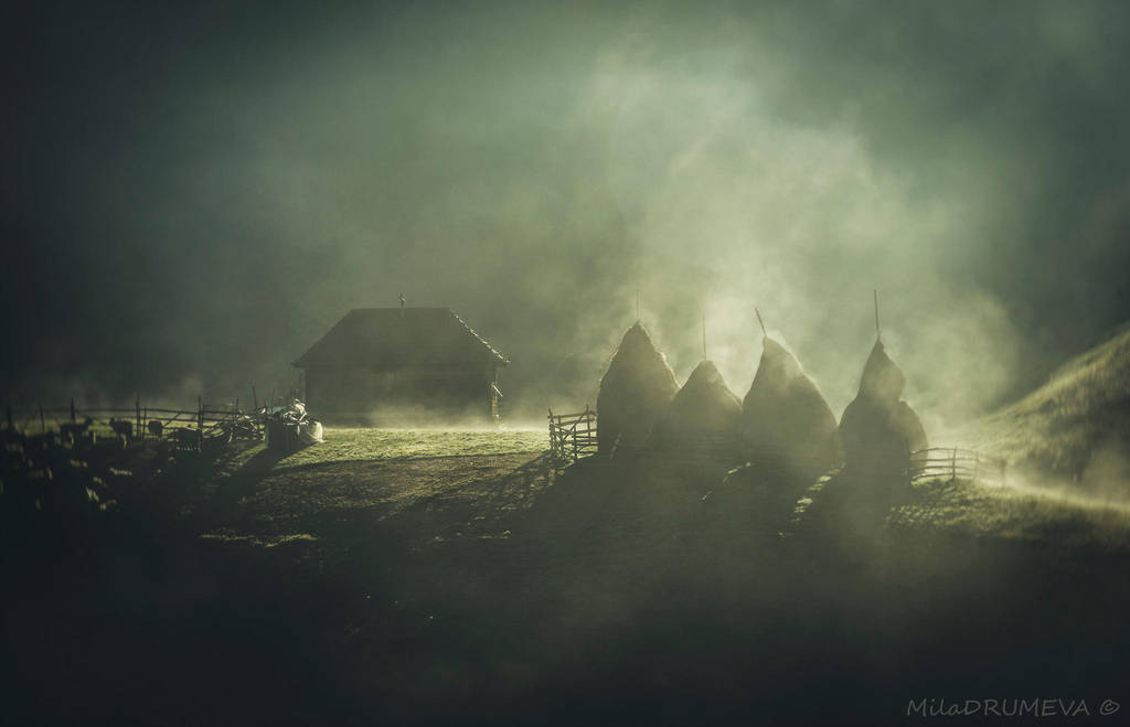 Magical morning by Zelma1