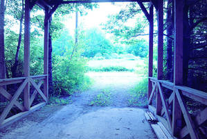 Grass Is Greener by NyxNymphaea