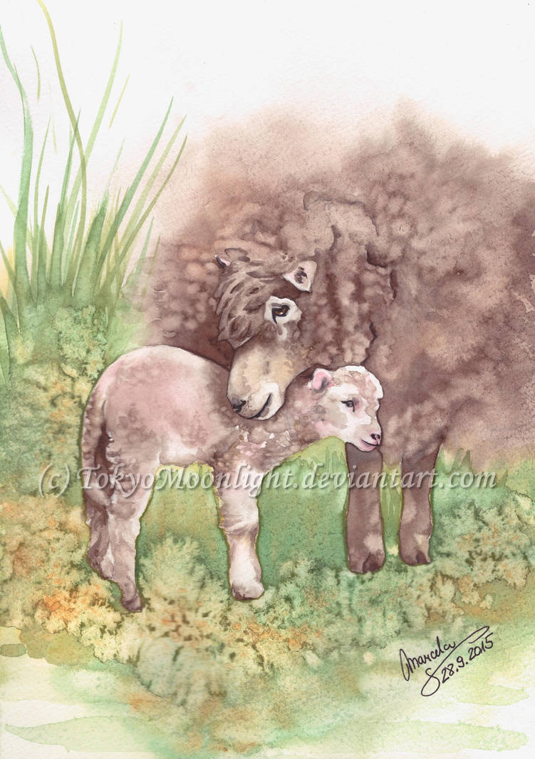 Cuddly Soft Wool by TokyoMoonlight Cuddly Soft Wool by TokyoMoonlight