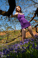 purple dress and bluebells by Arielle-Fox