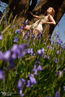 more bluebells by Arielle-Fox