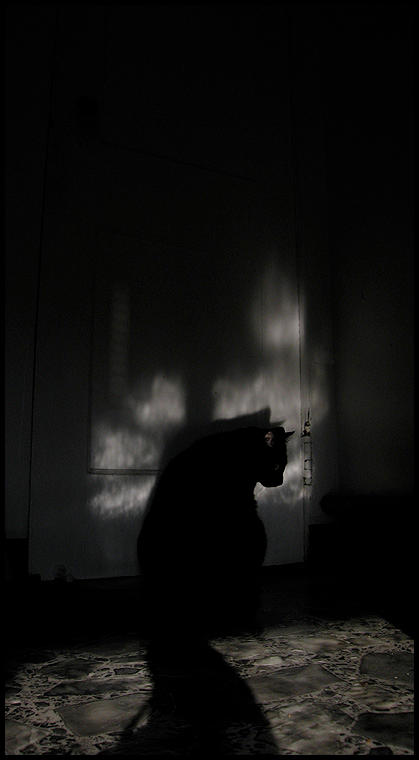 Morgenlicht. by Azzua