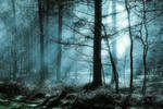 Spirit of the woods by Malleni-Art