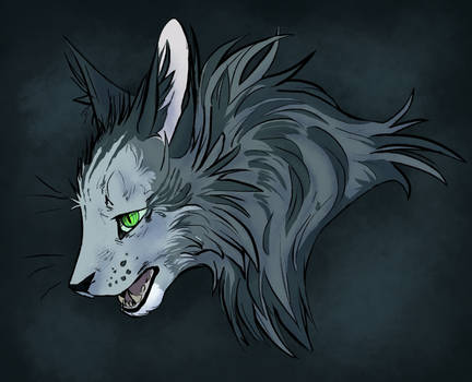 Feline Favourites By Kalmakamala On Deviantart