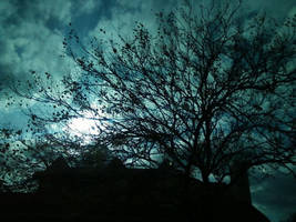 TWILIGHT by the-Modest-Godess