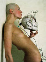 from life of birds by sisterjezz