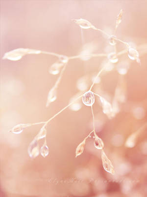 Pearls by ElyneNoir Pearls by ElyneNoir