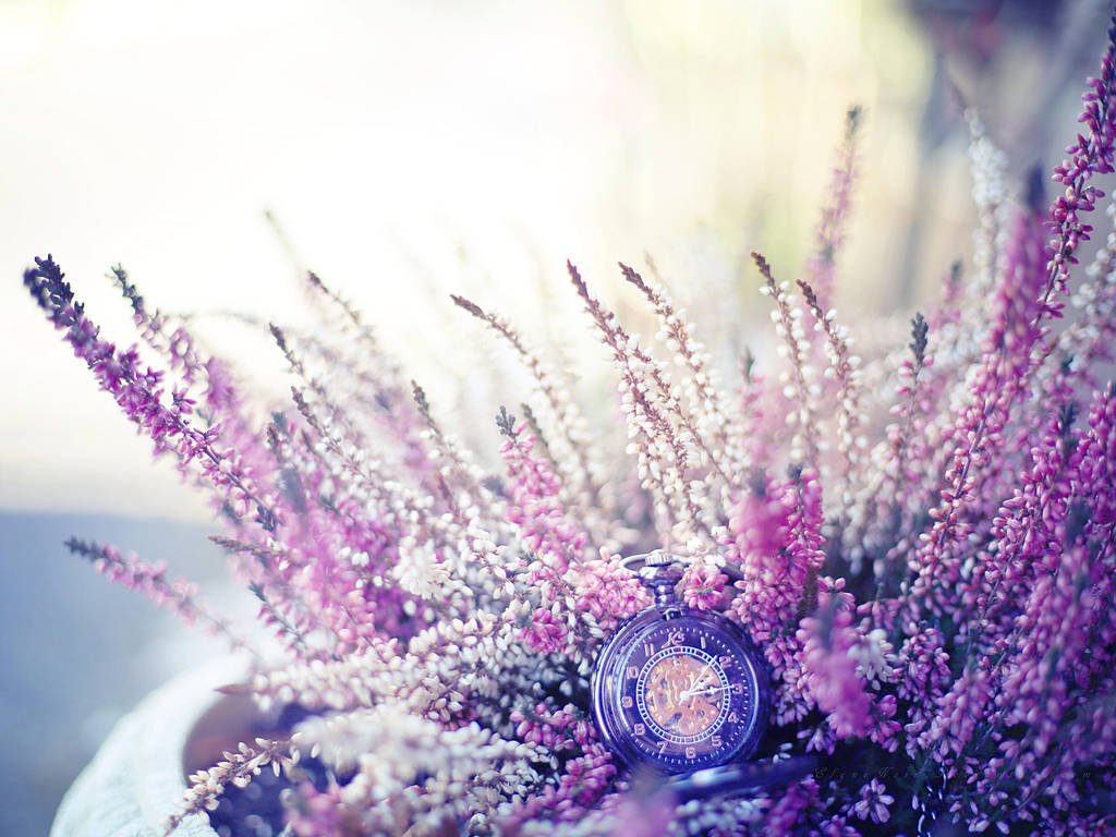 Springtime by ElyneNoir