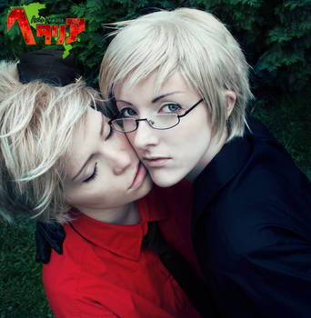 Hetalia: Sweden x Denmark by Rosenbraut