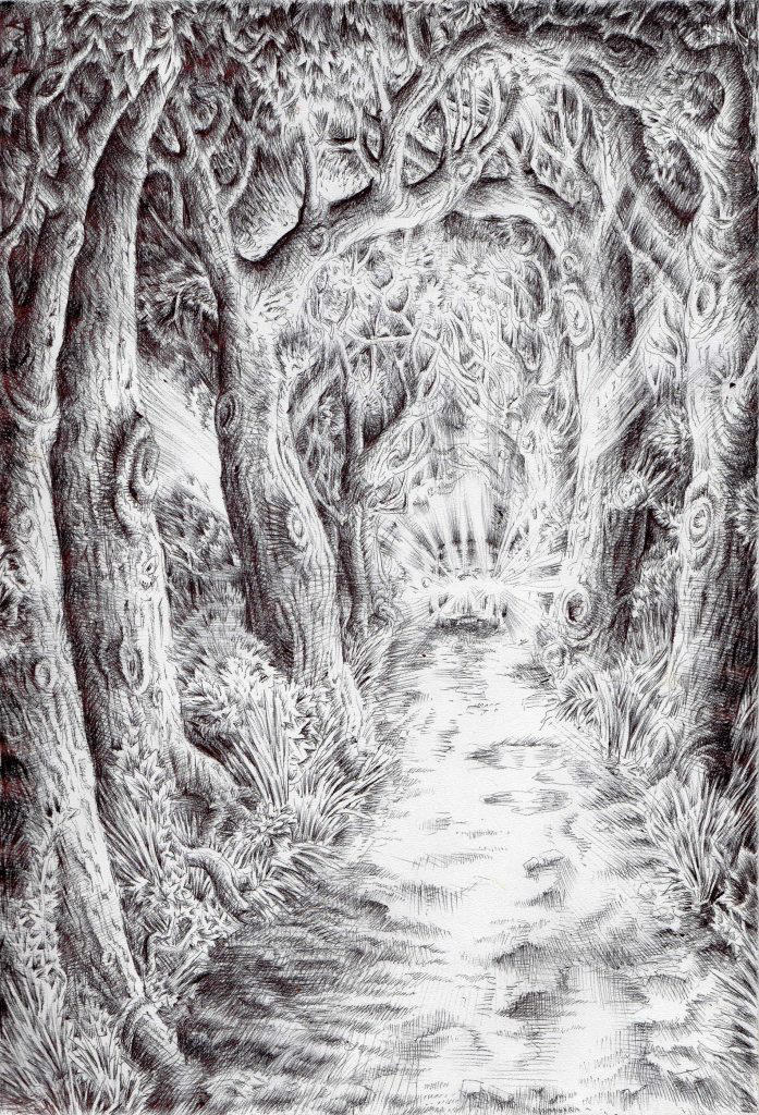 The drive through Renshaw Forest by Black--Mountain