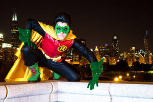 Son of the Bat by SoloGrayson