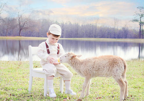 Boy and lamb by Jeni-Sue