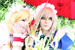 Friends by palecardinal